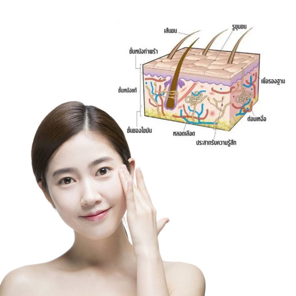 ชะลอวัยให้ผิวพรรณอย่างยั่งยืน