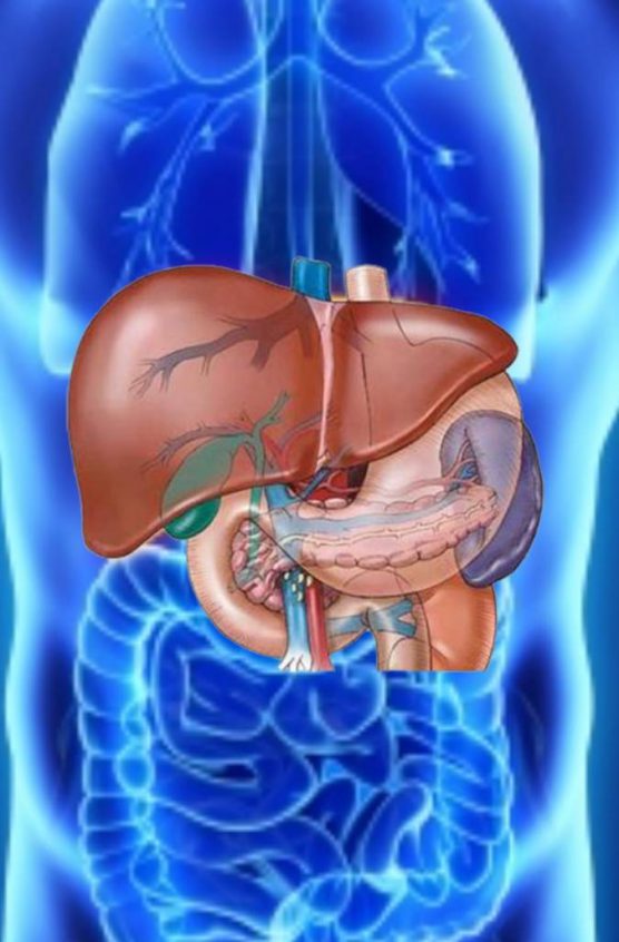 ประโยชน์ของสารเซซามินจากงาดำ